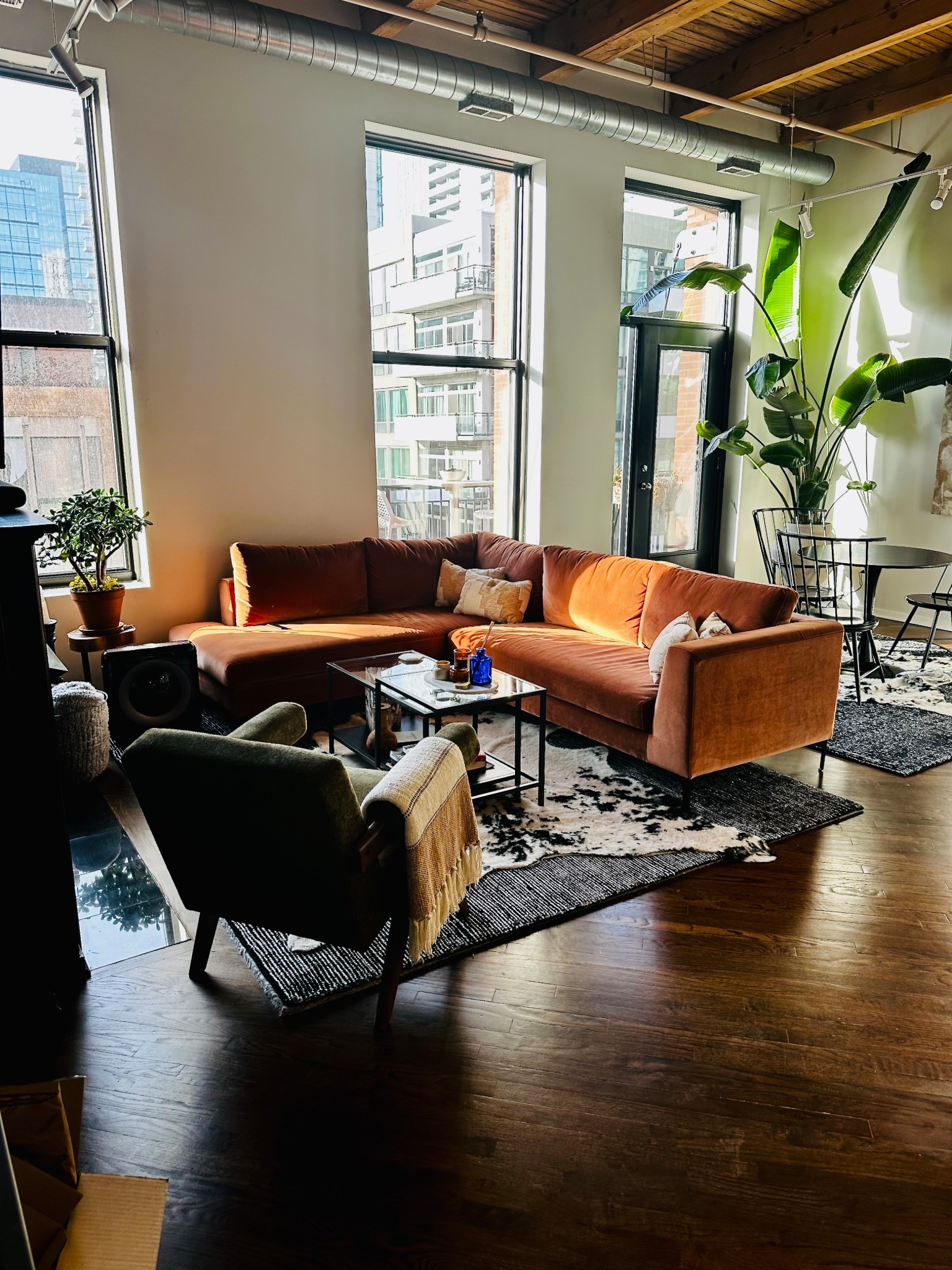 My exact living room staples 

#LTKHome #LTKMens