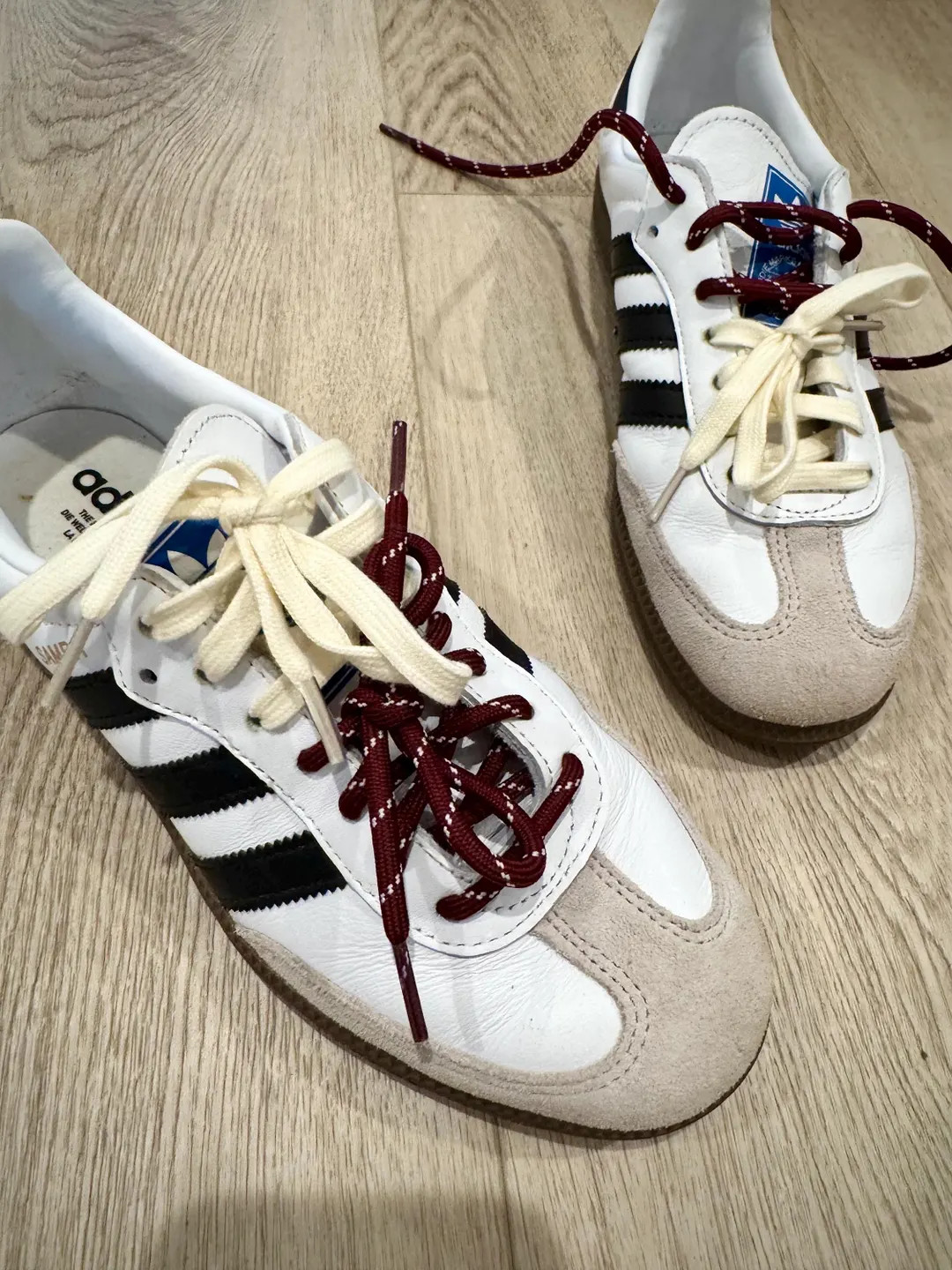 Shoe Laces Set Two Color FREE SHIPPING - Etsy | Etsy (US)