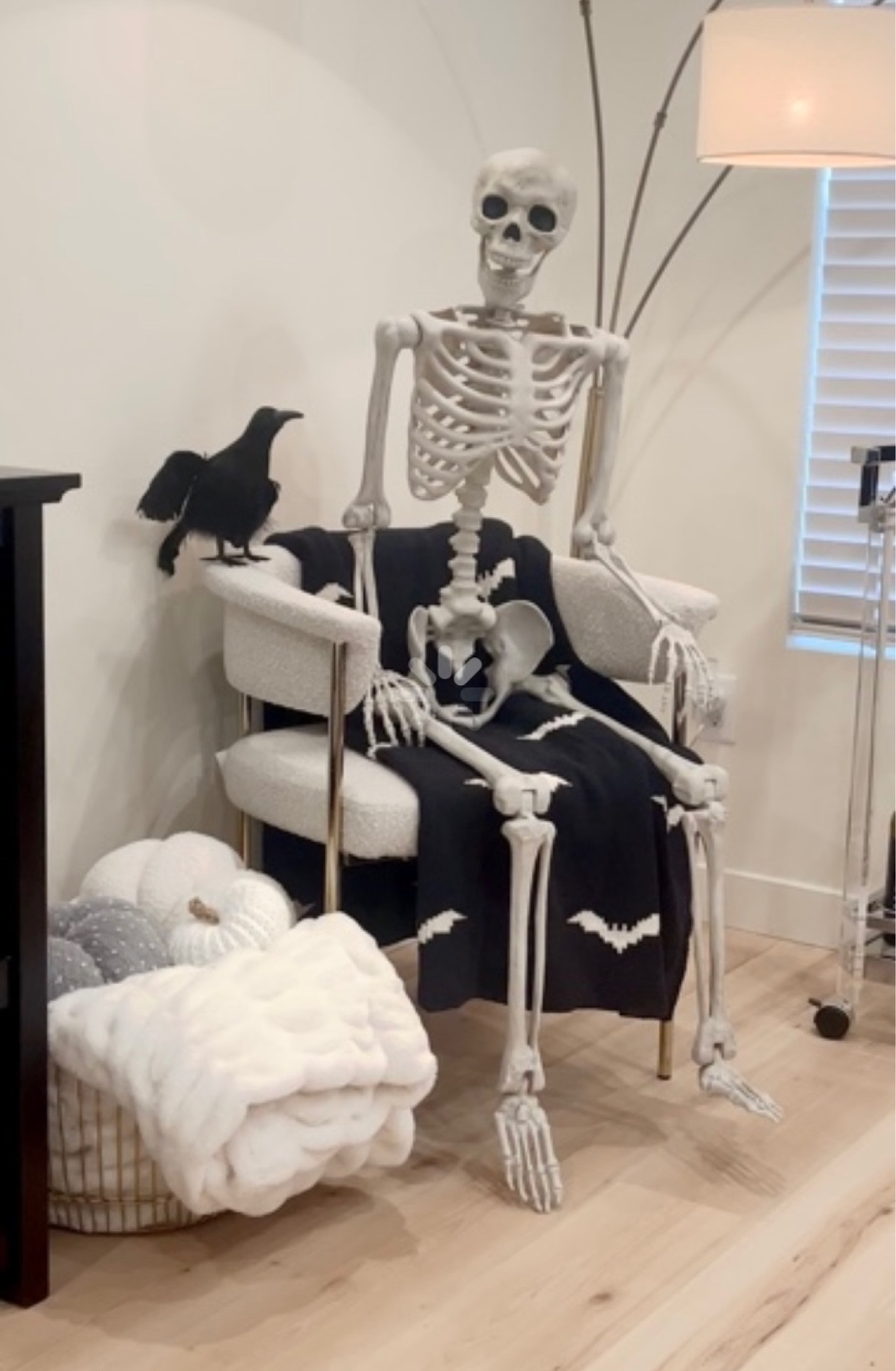 Target Skeletons are back in stock! They won’t be for long though so snatch ‘em up now. 
🖤
Skeletons
White Skeleton
Gold Skeleton
Glow in the dark Skeleton 
Animated Skeleton
Hyde & EEK Boutique 

#LTKHalloween #LTKSeasonal #LTKhome