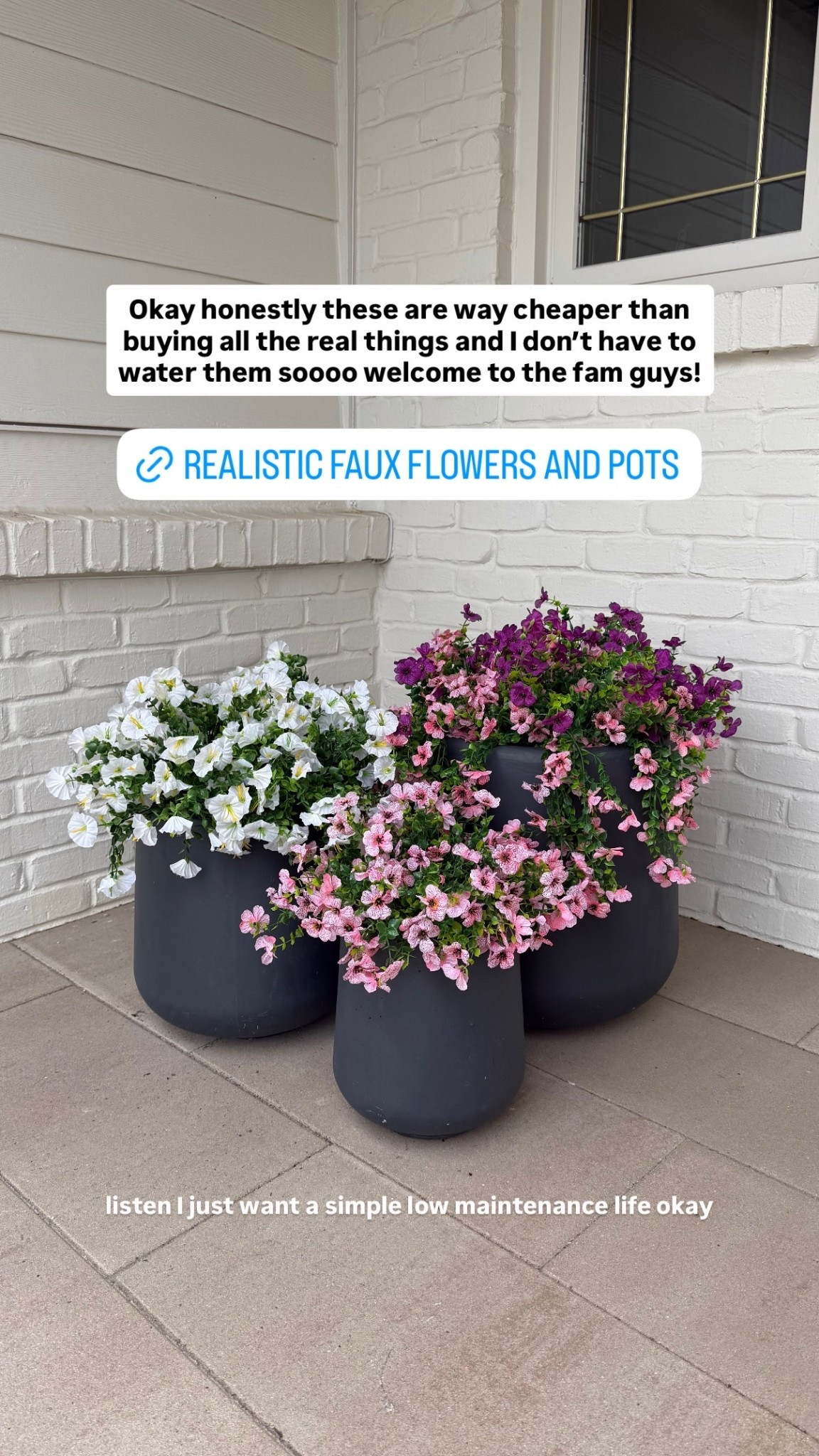 Flowers you don’t have to water - truly life changing!