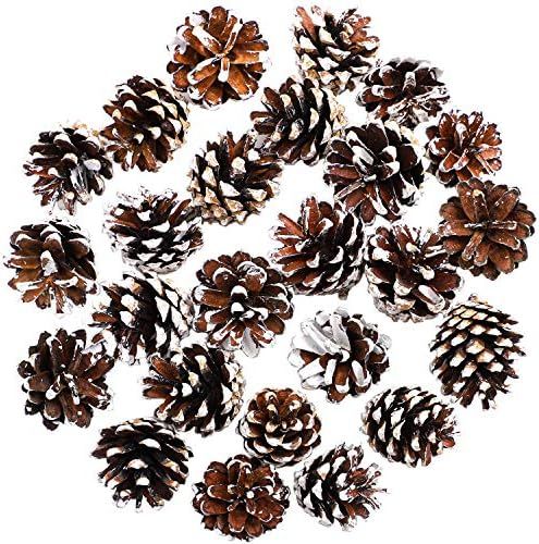 Cooraby 24 Pieces Pine Cones Christmas Snow Pine Cones 4 to 6 cm Pine Cones for Fall and Christma... | Amazon (US)