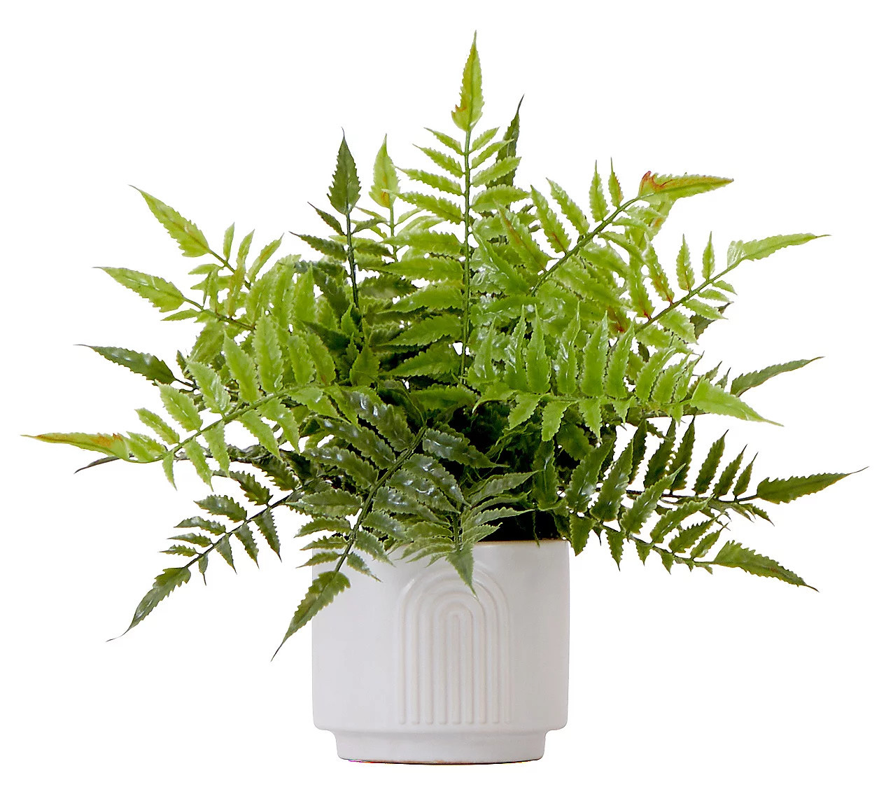 Nearly Natural 13"" Artificial Boston Fern Plant with Planter | QVC