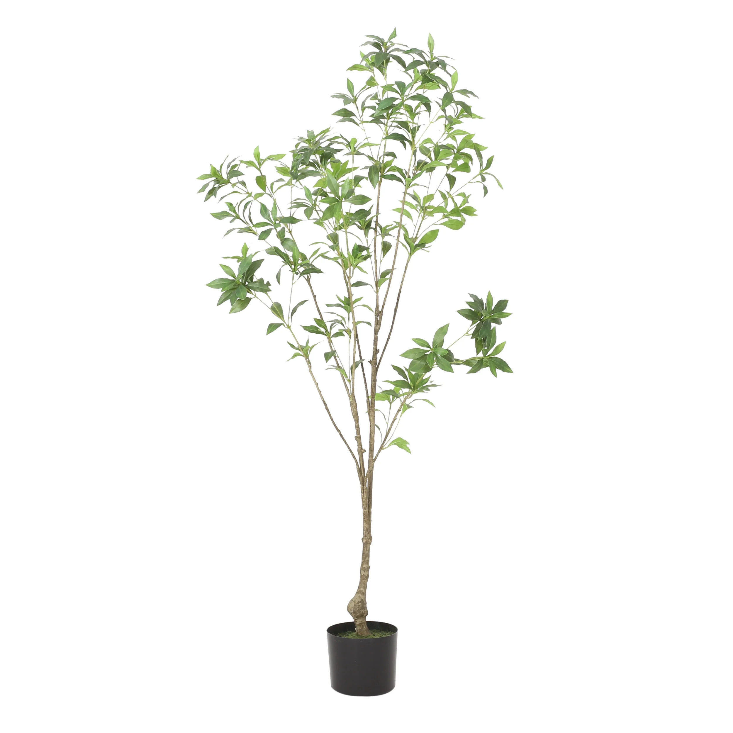 Noble House Hartshorn 5' x 2' Artificial Pieris Tree, Green | Walmart (US)