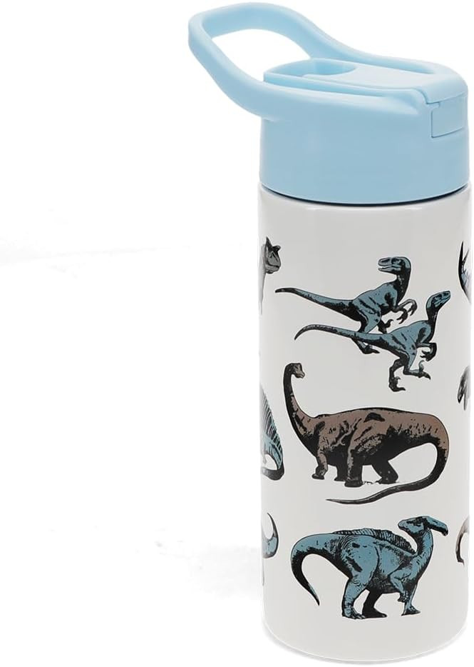Rex London Stainless steel bottle with push button lid 500ml - Dinosaur | Amazon (UK)