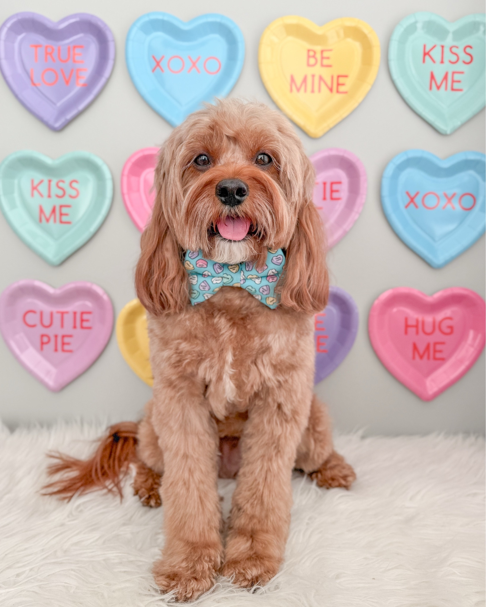 Shared this background last year! Linked a bunch of options and what I used! 