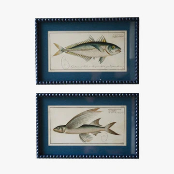 Framed Fish Prints | Dear Keaton