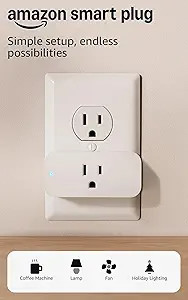Amazon Smart Plug, Works with Alexa, Simple Setup, Endless Possibilities (2-Pack) | Amazon (US)