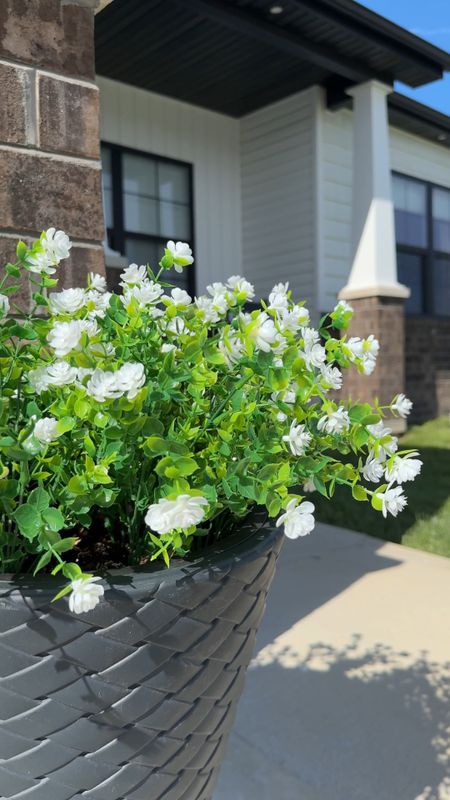Do you struggle with keep your plants alive like me? I found this faux flower set on Amazon and I can’t believe how great they look in my planter and they are UV resistant so they should last through the seasons! 

Outdoor, Plants, Faux Flowers, Green Thumb, Exterior, Planters, Spring, Spring Decor, Amazon Find, Affordable Finds, Interior Design, Home Decor, Entryway, Landscaping

#amazonfinds #amazonmusthaves #outdoor #outdoorliving #outdoorspace #fauxflowers #fauxflorals #spring #springhomeinspiration #springflowers #springvibes #entryway 

#LTKSeasonal #LTKhome #LTKstyletip