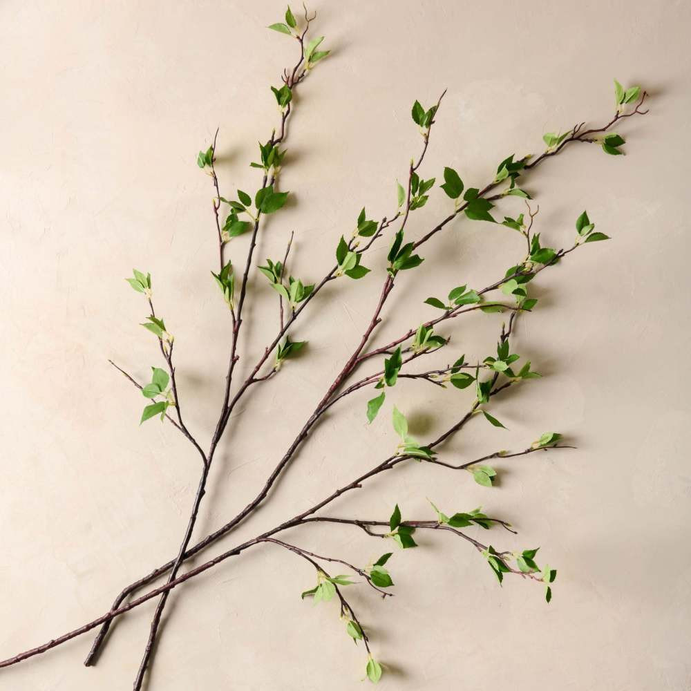 Green Leaf Branch | Magnolia