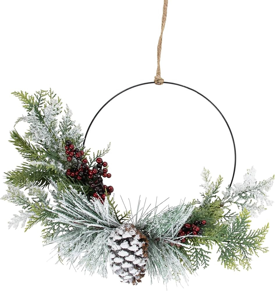 Northlight Frosted Mixed Foliage with Berries and Pinecone Artificial Christmas Wreath, 16-Inch, ... | Amazon (US)