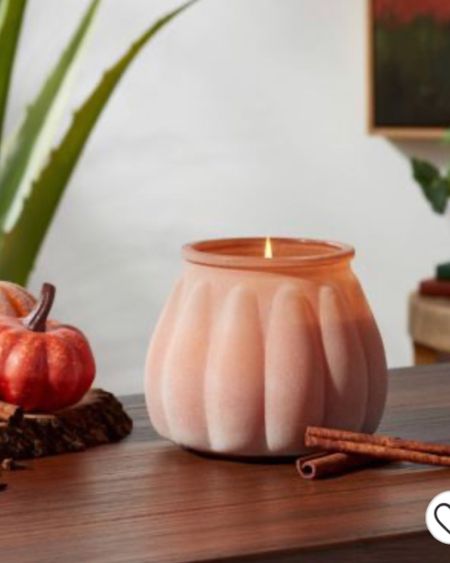 Best Holiday Candles 

#LTKhome #LTKGiftGuide #LTKSeasonal