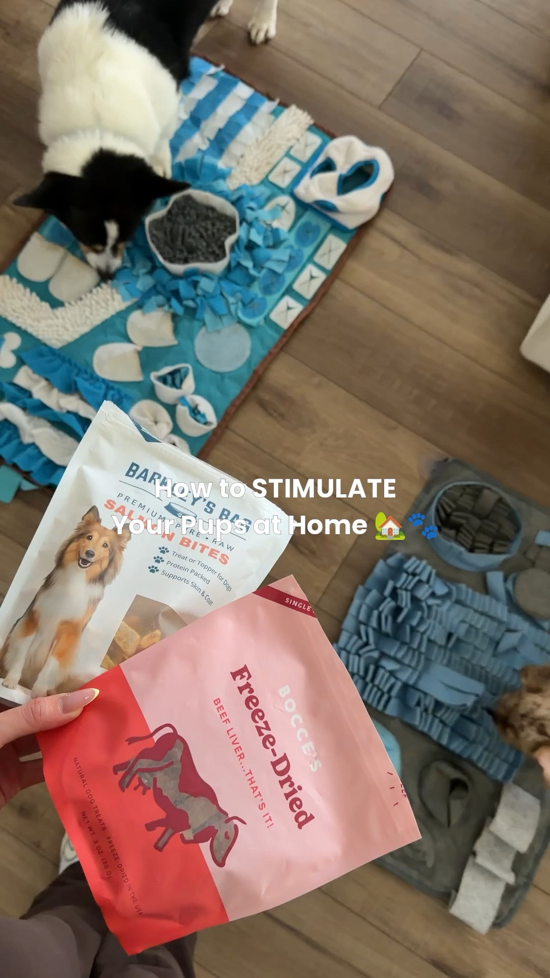 POV: It’s a rainy AND busy day for you at home with the dogs.. 🐕 🐾

All of the fun puzzles and sniff mats that we have tried and LOVED!! Easily stimulates all dog senses and naturally tires them out. Here are some healthy treats to pair with for your pups as well :)

#LTKmomlife #LTKHome #LTKmorningroutine