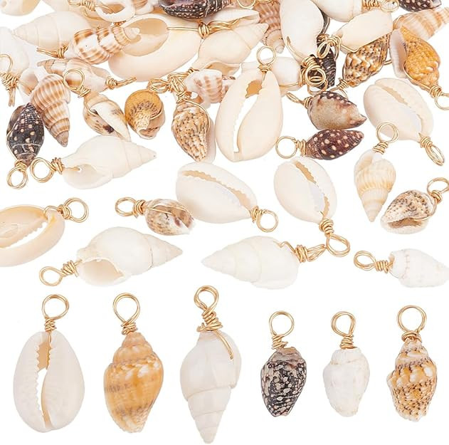Amazon.com: PH PandaHall 120pcs Shell Charms 6 Styles Spiral Seashells Craft Charms Cowrie Sea Sh... | Amazon (US)