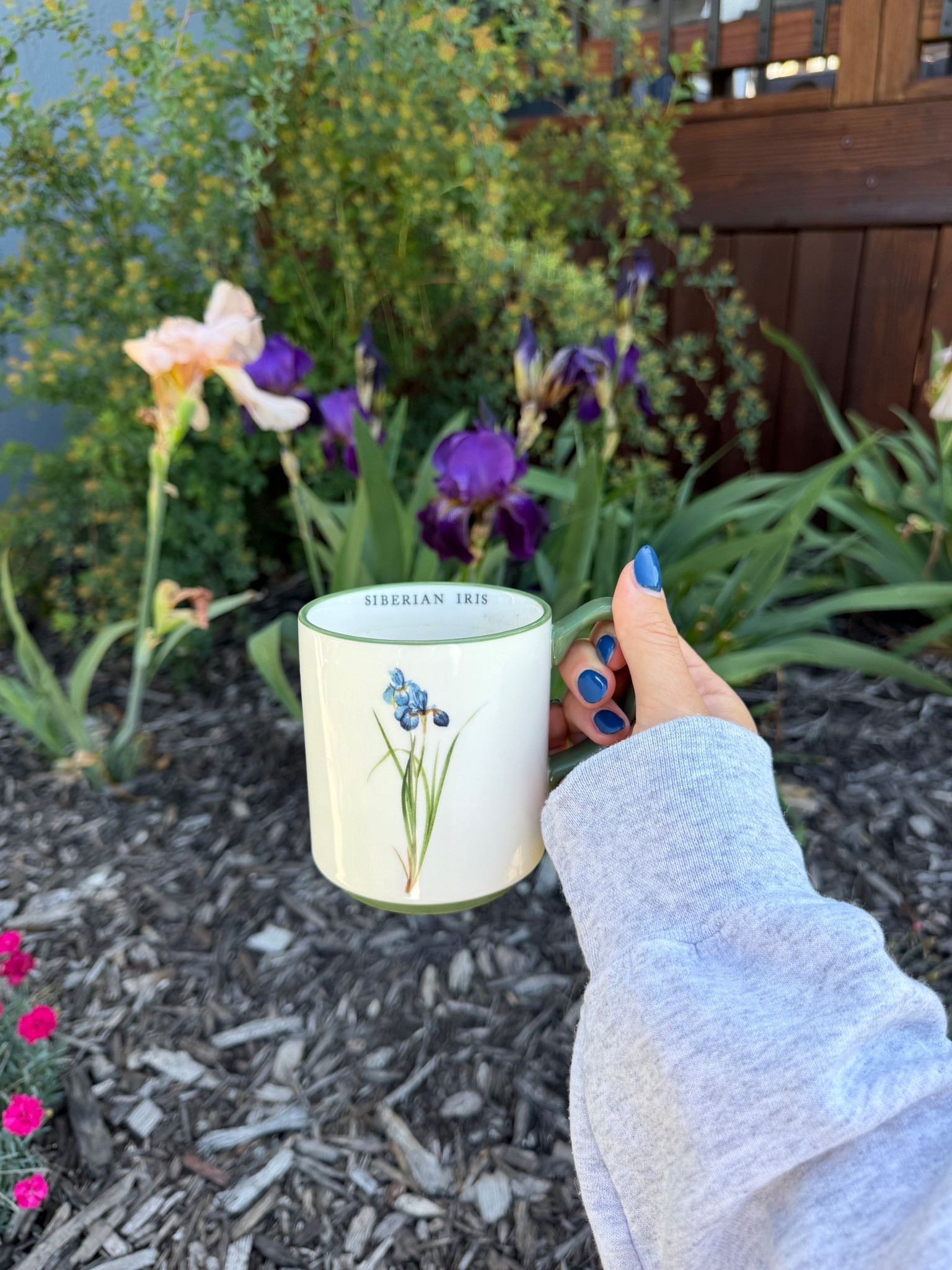iris flower mug 

#LTKMothersDay #LTKHome #LTKselfcare