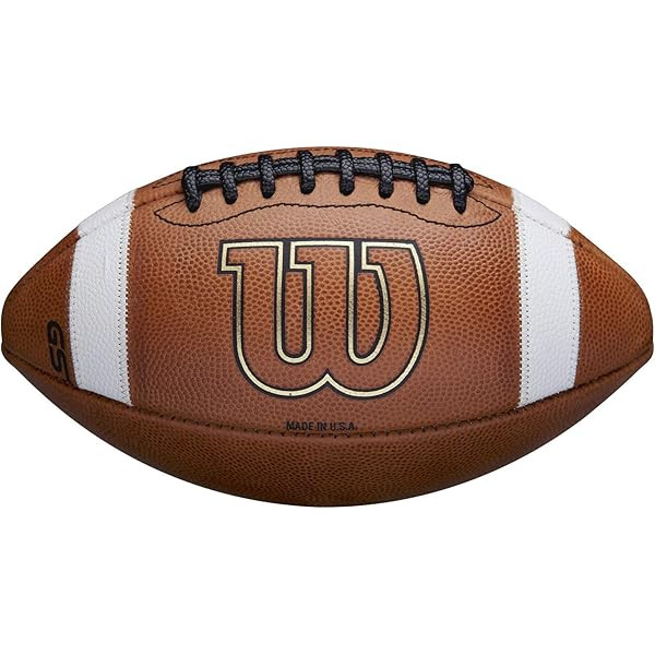 Wilson WTF1003R GST NCAA Leather Game Football | Amazon (US)