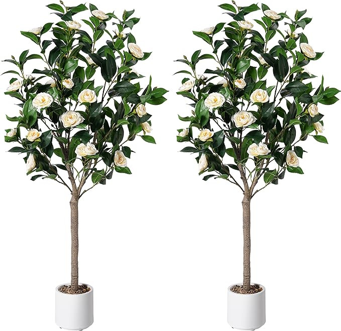 Artificial Camellia Tree 5ft, 2pack Indoor Fake Plant with Realistic Trunk, Leaves,White Flowers ... | Amazon (US)