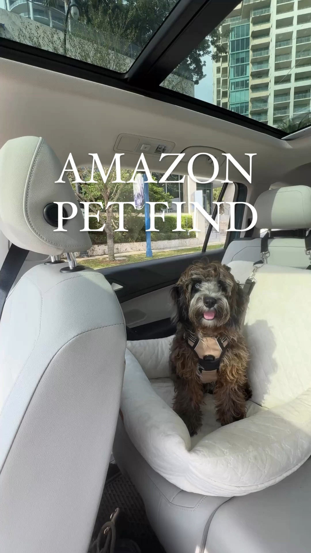 safety furst 🐾  Clay has been loving this cozy car seat since he was a little puppy!  Not only is it comforting for him having his little nook in the car, but I had to stop short on the highway recently and saw the safety benefits of it because he would have flown off the seat and onto the floor, probably hurting himself if it weren’t for the car seat. 

It’s washable and comes in variety of other colors too! 

#dogslife #doglove #cozyvibes #puppylife #newpuppy

#LTKHome #LTKFamily