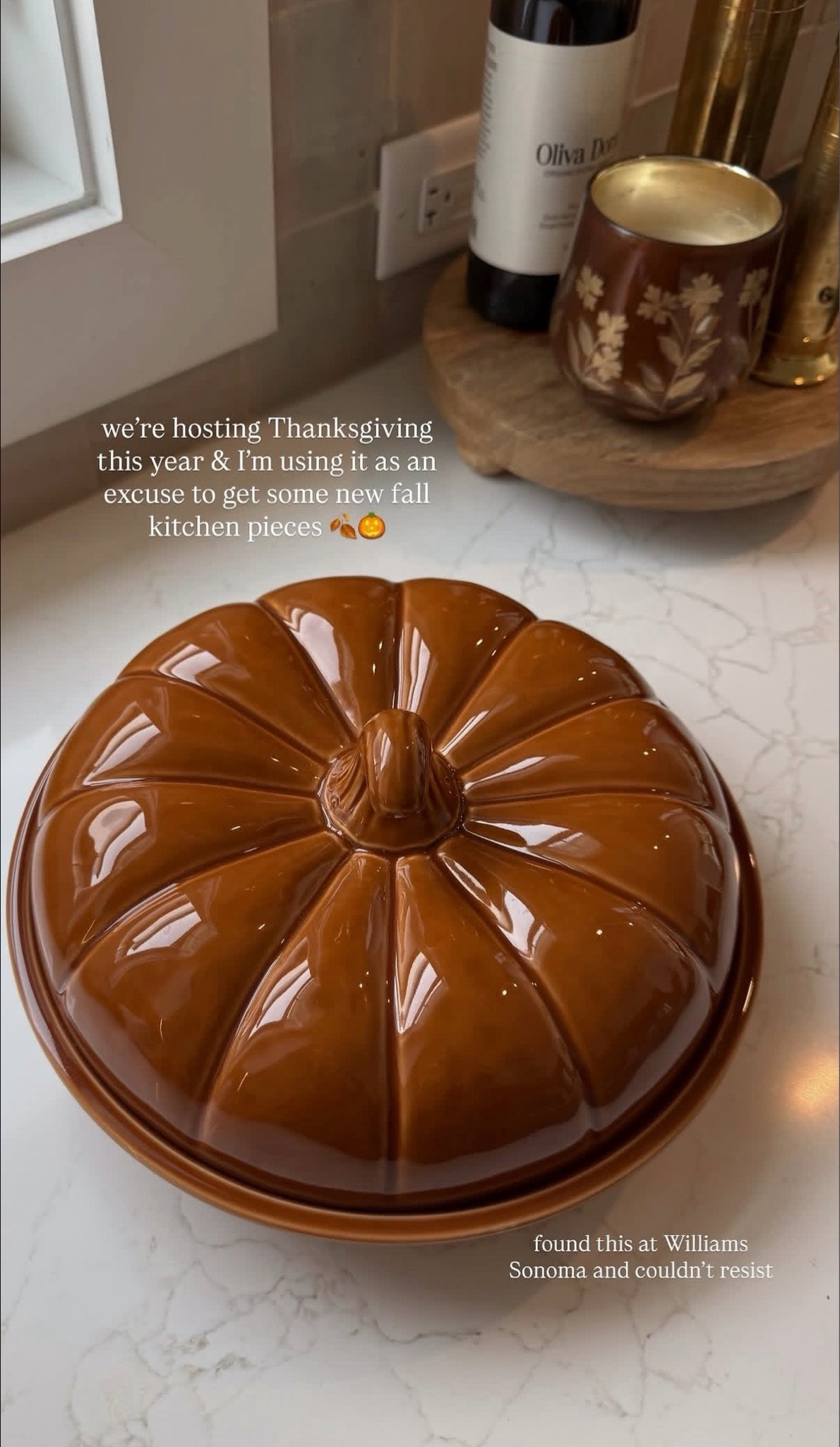 Williams Sonoma Pumpkin Covered Pie Dish