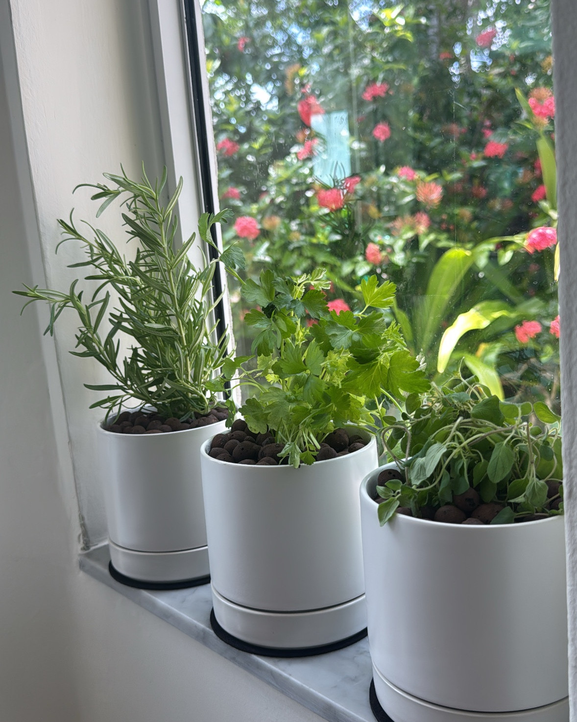 Home Garden Find! #amazon #garden

#LTKHome #LTKSeasonal #LTKSummerEdit