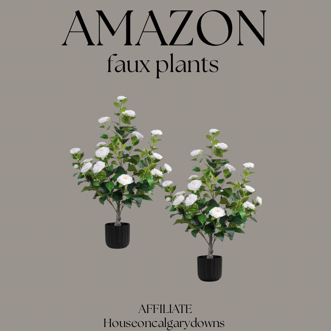 Faux plants 

#LTKHome #LTKSaleAlert #LTKSeasonal