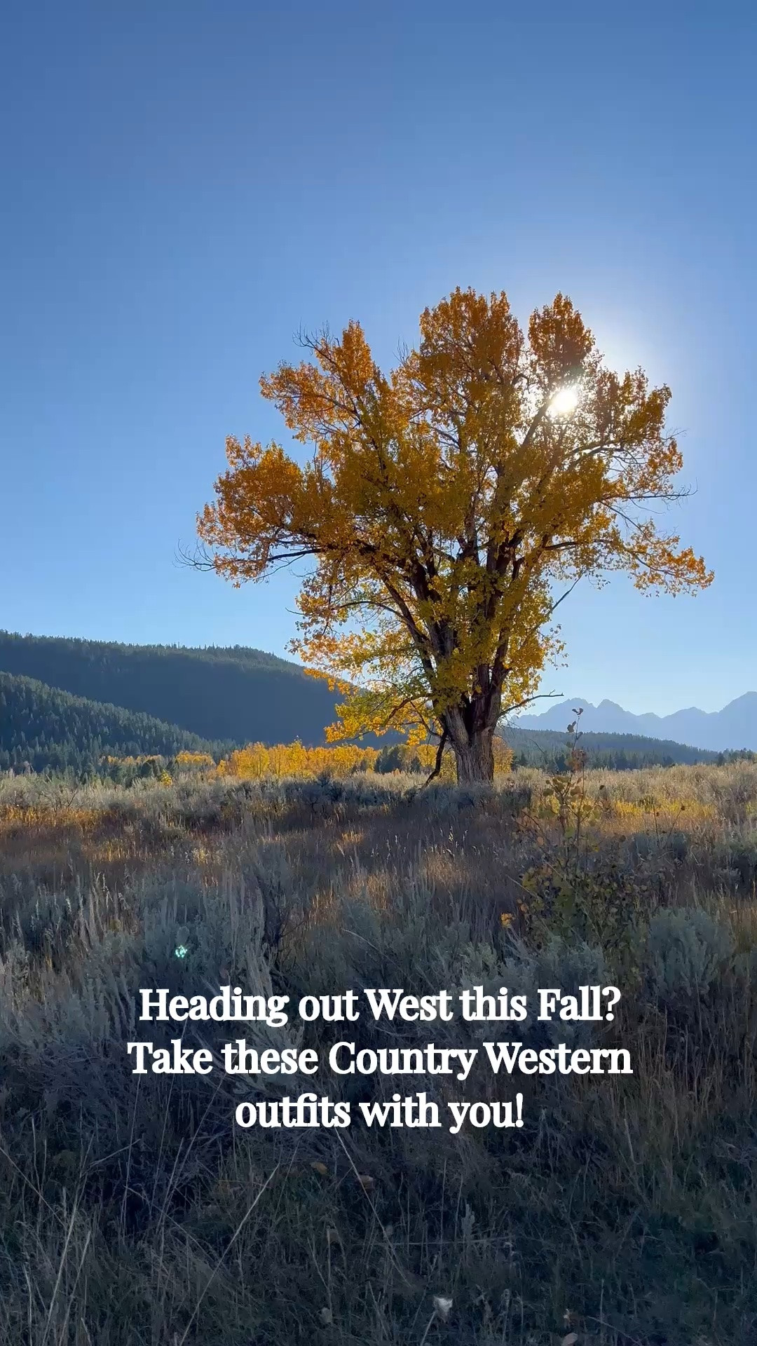 Heading out West this Fall? Take these Country Western outfits with you!

#LTKSeasonal #LTKOver40 #LTKWorkwear #LTKTravel #LTKgrwm #LTKootd #LTKMidsize #LTKvlog #LTKU #LTKxWalmart