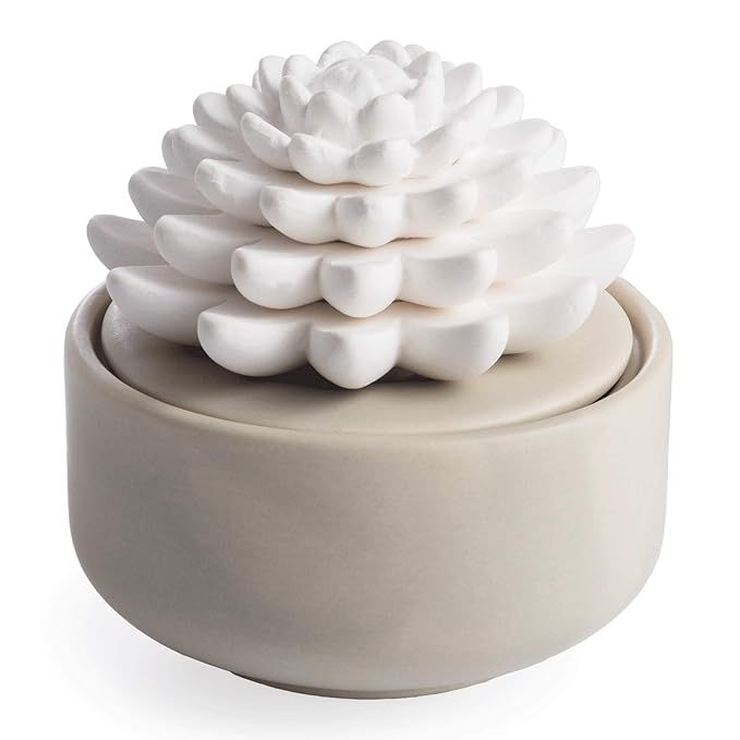 Airomé Succulent Passive White Porcelain Diffuser, Non-Electric, Battery-Free Fragrance and Esse... | Amazon (US)