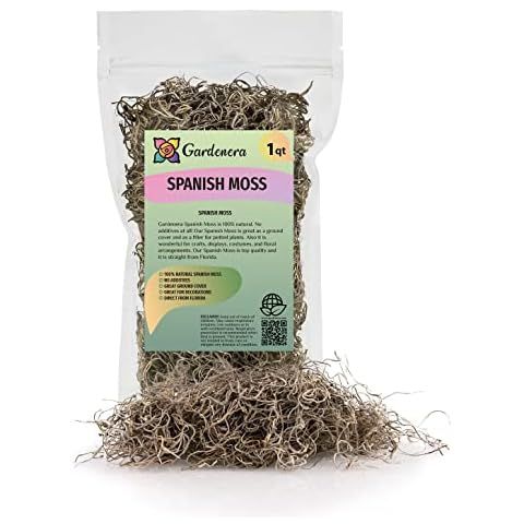 Premium Natural Spanish Moss | Natural Preserved - Great Ground Cover - Filler for Potted Plants ... | Amazon (US)