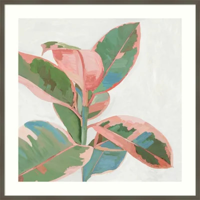 Pink Ficus I Print by Asia Jensen | Wayfair North America