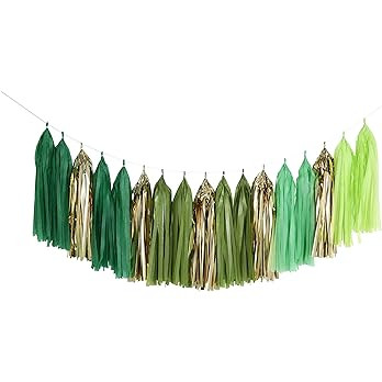 Fonder Mols Tassel Garland Tissue Paper Tassel Banner DIY Kit for Lulu Tropical Summer Party Deco... | Amazon (US)
