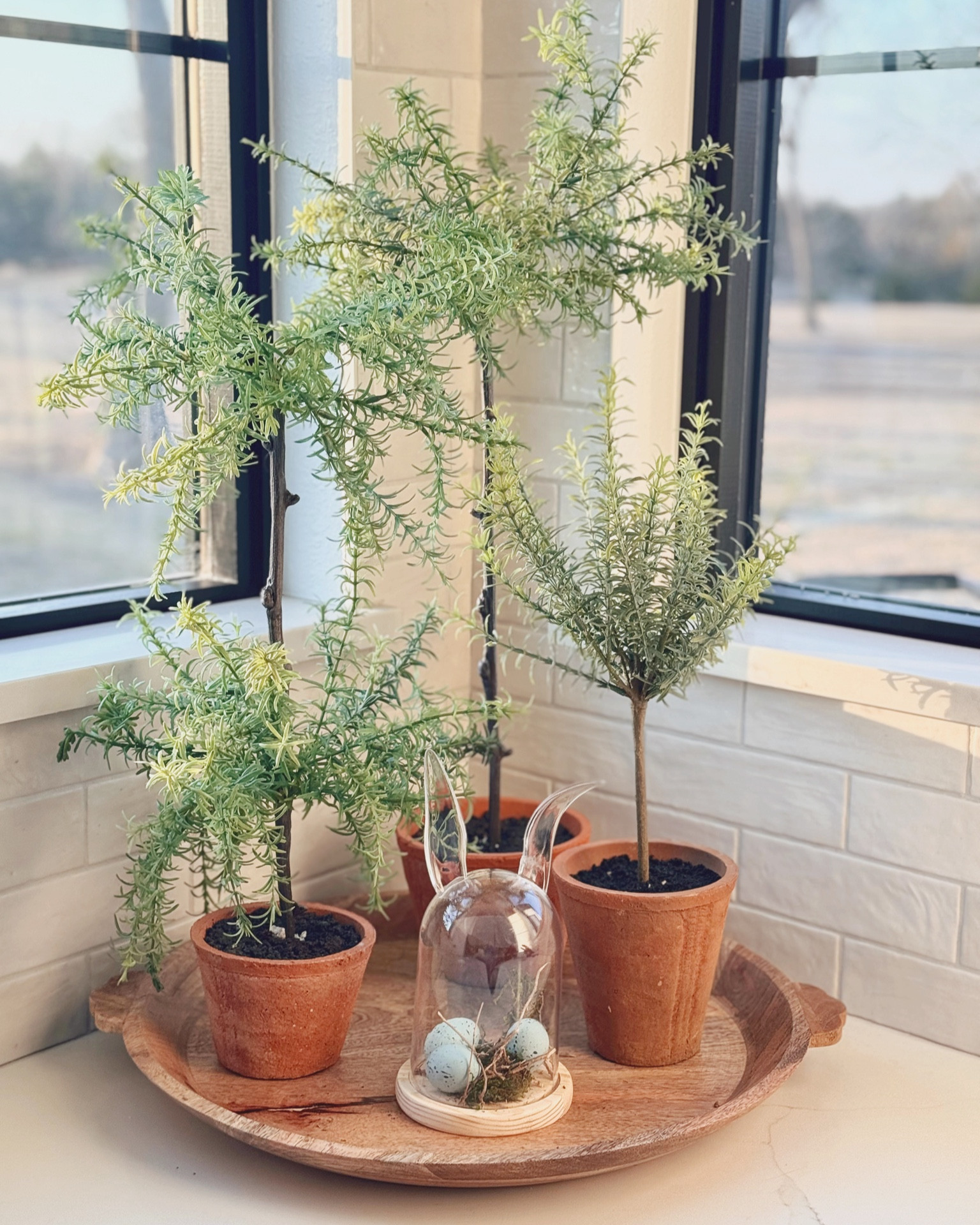 Topiaries Easter cloche 

#LTKhome #LTKSeasonal #LTKstyletip