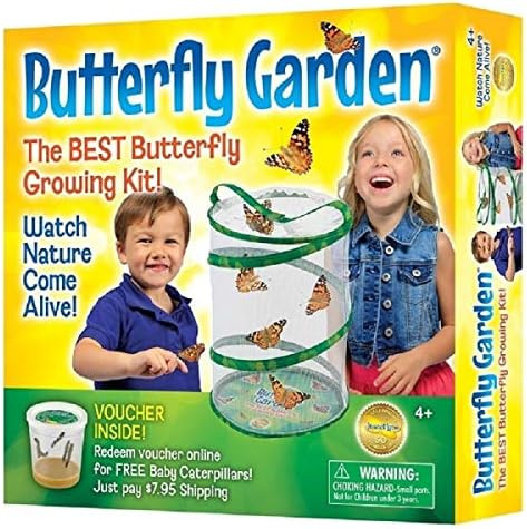 Insect Lore - BH Butterfly Growing Kit - With Voucher to Redeem Caterpillars Later | Amazon (US)