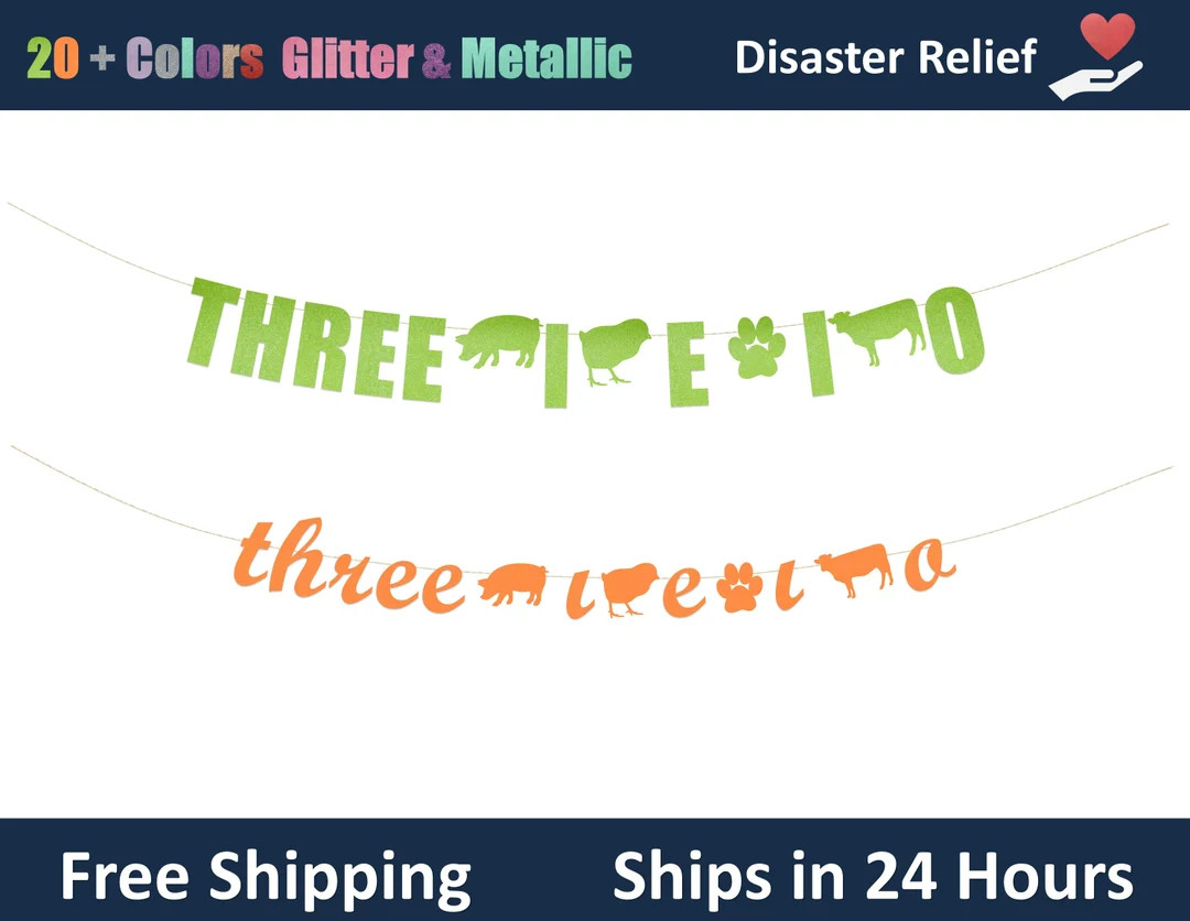 Three I E I O banner - Third Birthday Decoration, 3rd birthday party Hanging letter sign | Etsy (US)