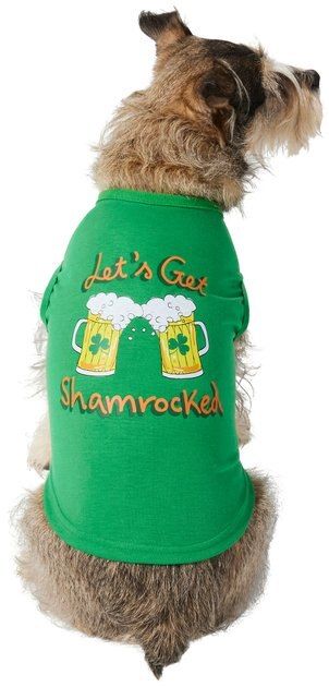 Frisco Let's Get Shamrocked Dog & Cat T-Shirt, Medium | Chewy.com