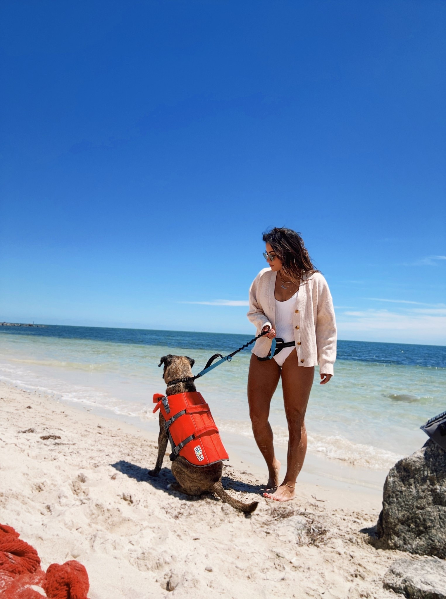 Otis’s life vest is awesome and only $23 🐾 

Amazon finds, dog, cardigan, Amazon fashion, H&M, one piece swimwear,  white bathing suit, beach style, pool outfit. 

#LTKPets #LTKActive #LTKSwim