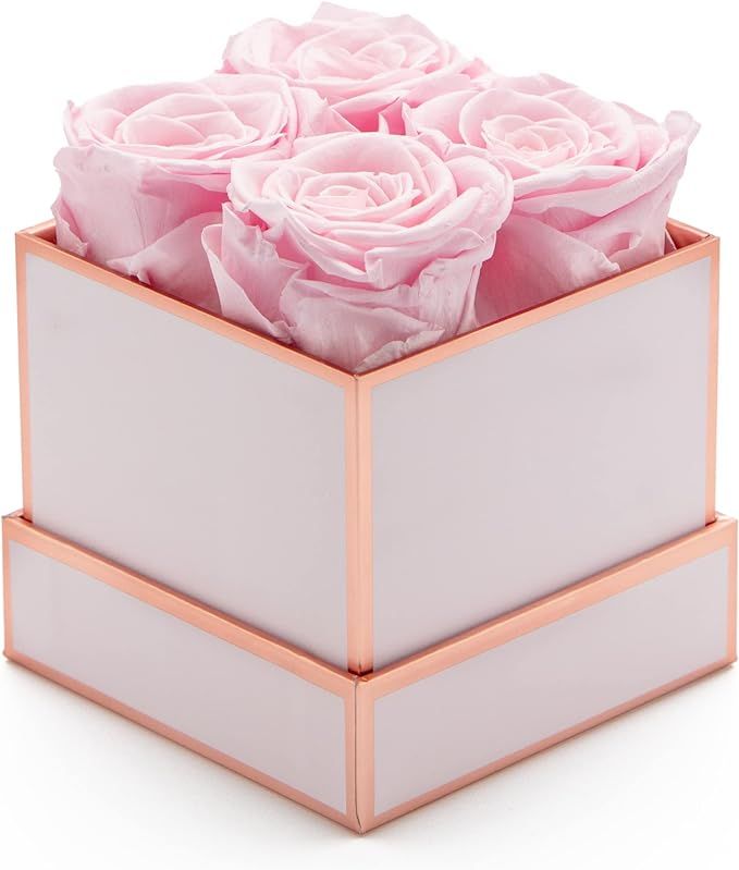 Premium Preserved Roses Box of Flower Eternal Roses Home Décor | Valentine's Day Décor | Gift f... | Amazon (US)