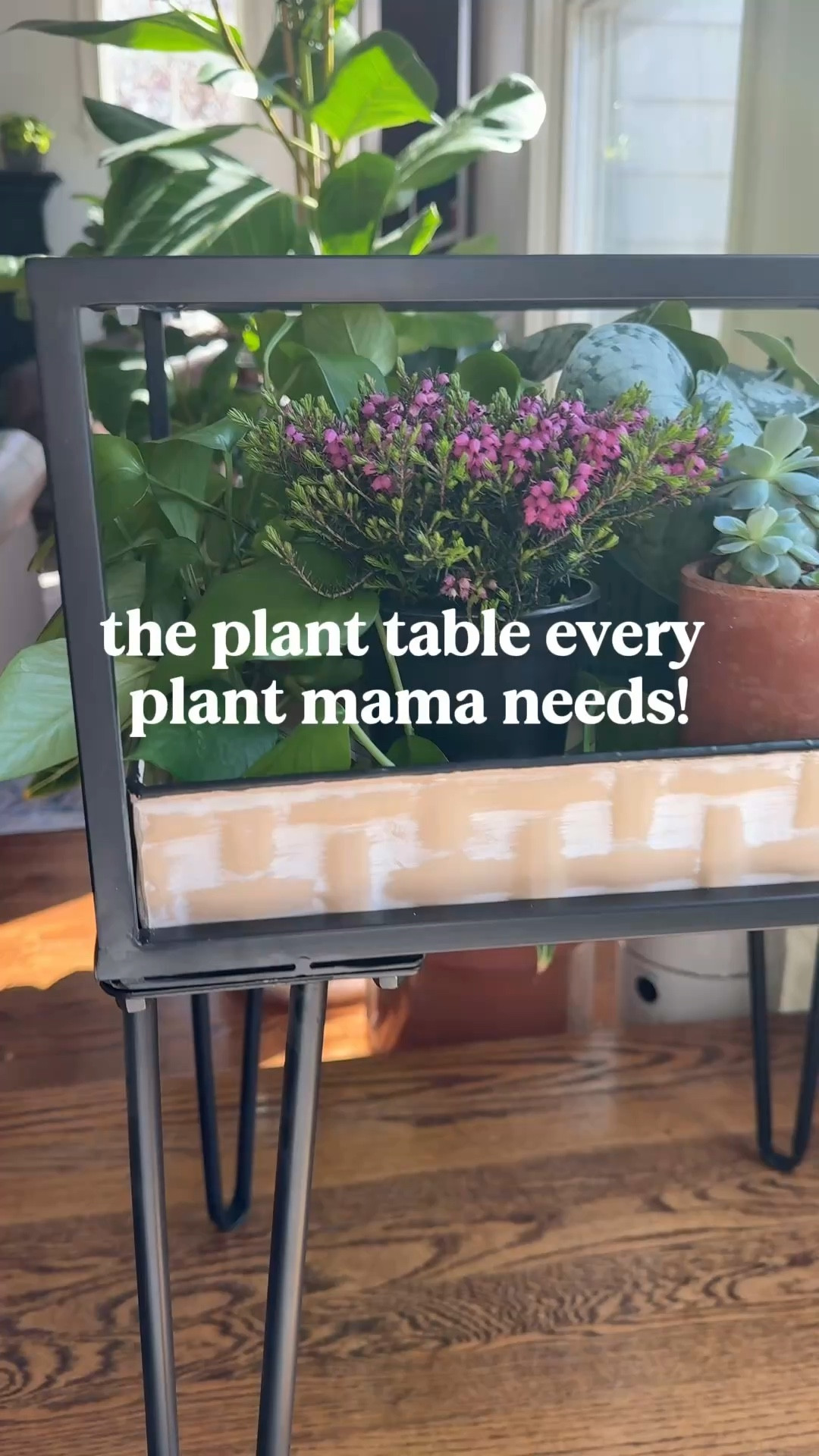 If you (or your mom!) love plants, this would be an amazing Mother’s day gift. It’s absolutely stunning and is such a unique way to display all the plant babies. Check out several other great plant mama gift options below, all from Plow & Hearth. #PlowPossibilities #PlantStyling

#LTKHome #LTKGiftGuide