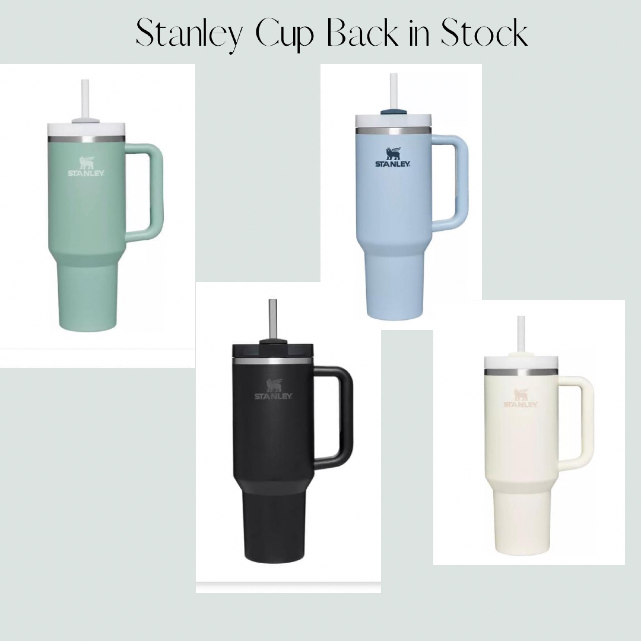 The world’s favorite cup is finally back in stock in some super cute colors at Dick’s! #stanleycup #stanley #quencher #home 

#LTKunder50 #LTKhome #LTKunder100
