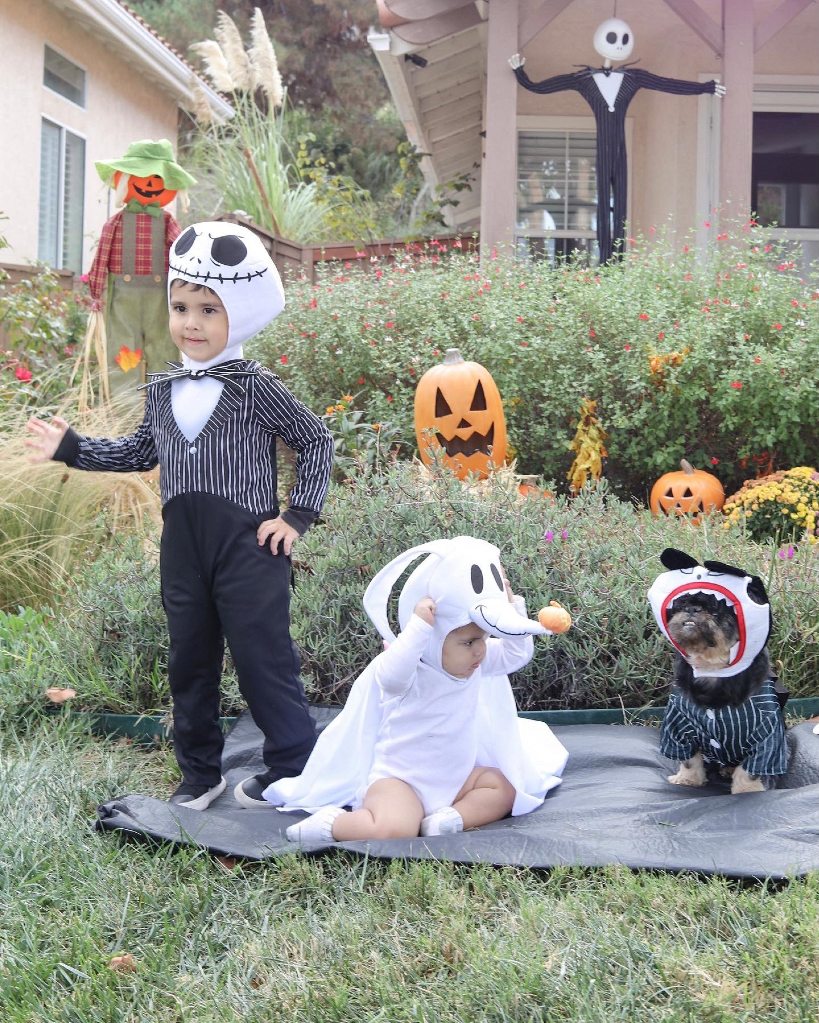 Nightmare before Christmas Halloween costumes, family costume

#LTKkids #LTKHalloween #LTKbaby