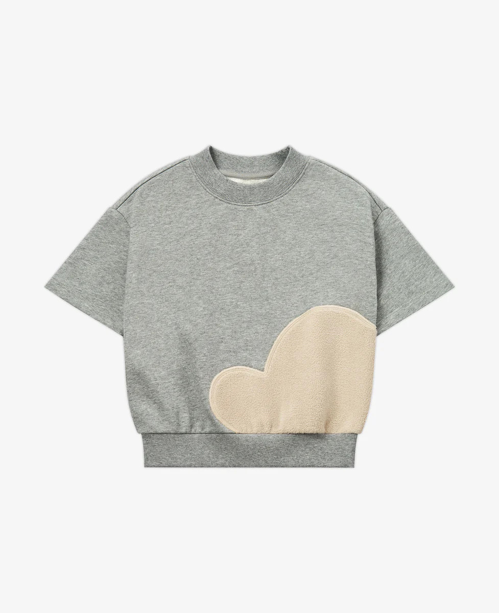 Big Cloud Short Sleeve Top - Stone | Petite Revery