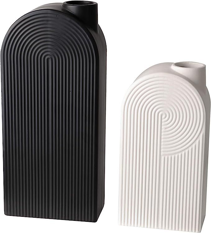 TERESA'S COLLECTIONS Ceramic Modern Vase, Black and White Geometric Decorative Vases for Home Dec... | Amazon (US)