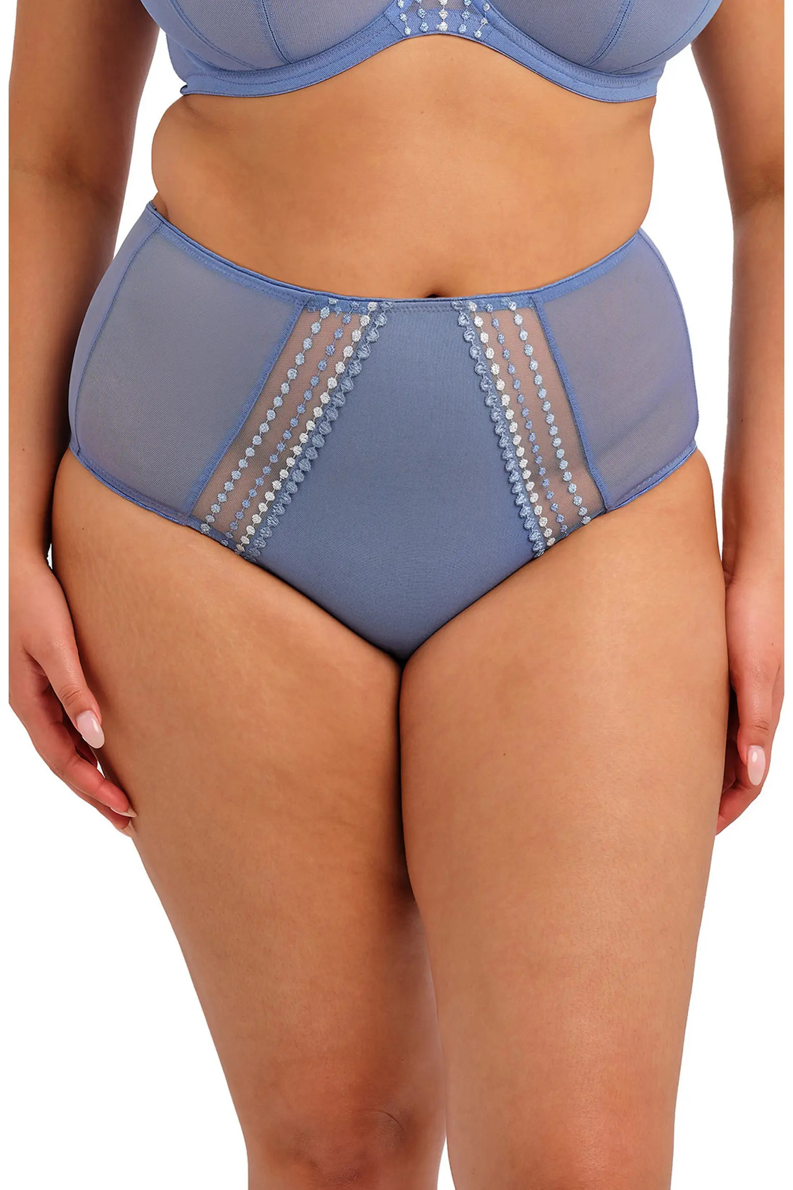 Matilda Full Figure Embellished Briefs (Women) | Nordstrom | Nordstrom