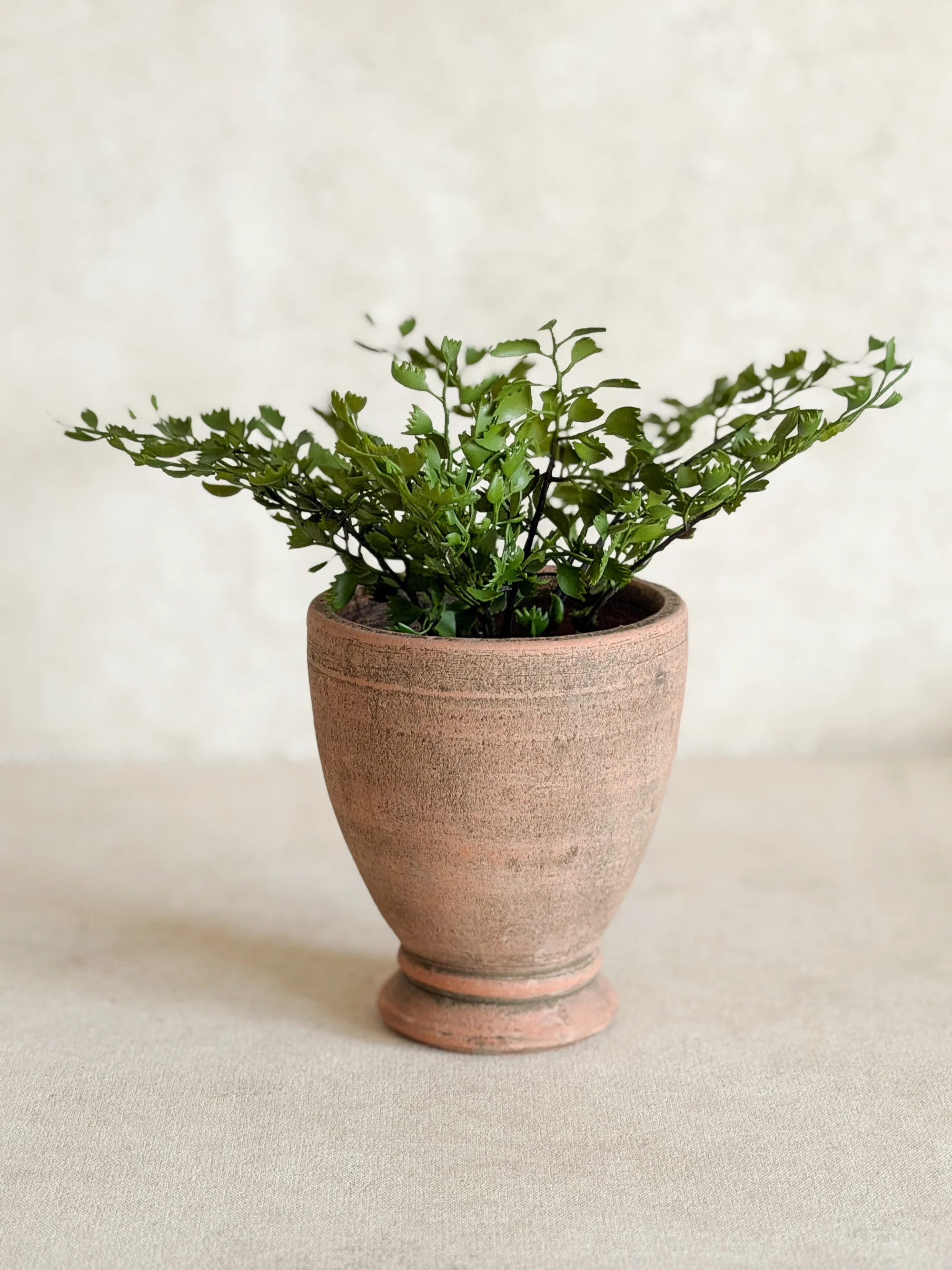 Mini Footed Terracotta Pots | Cottage and Key