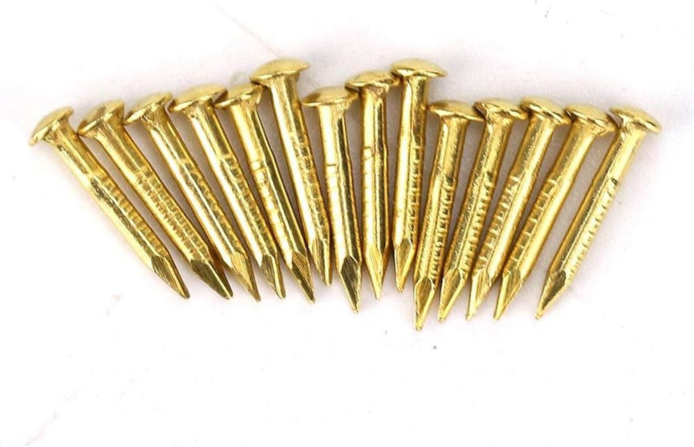 Brass Nails, 100 Pieces Round Head Gold Nails, Brass Wall Pins 10mm 15mm 18mm 22mm, Furniture Bra... | Amazon (US)