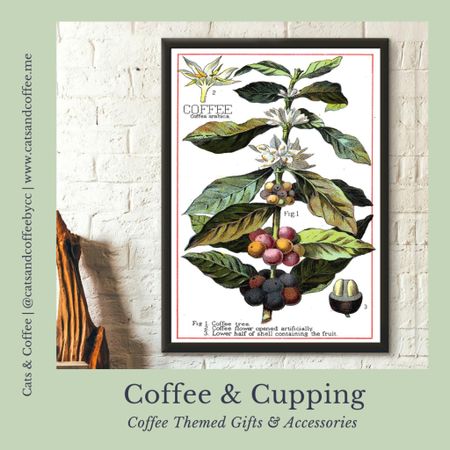 But First, Coffee: Curated Coffee Shop Boutique ☕️ Coffee Themed Gifts & Accessories - cute mugs, coffee themed home decor, graphic tees, and more! ☕️ See the full Coffee & Cupping boutique at: https://bit.ly/CandCCoffee 


#LTKhome #LTKunder100 #LTKfamily