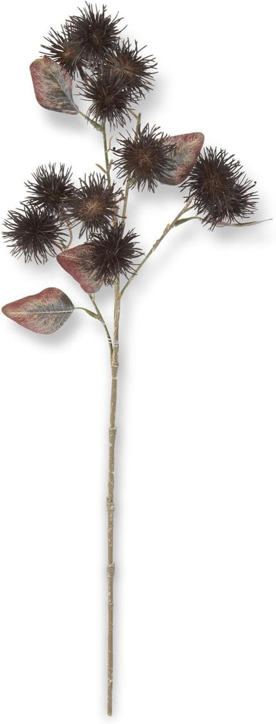 Dark Brown Thistle Stem, 25 Inch | Amazon (US)