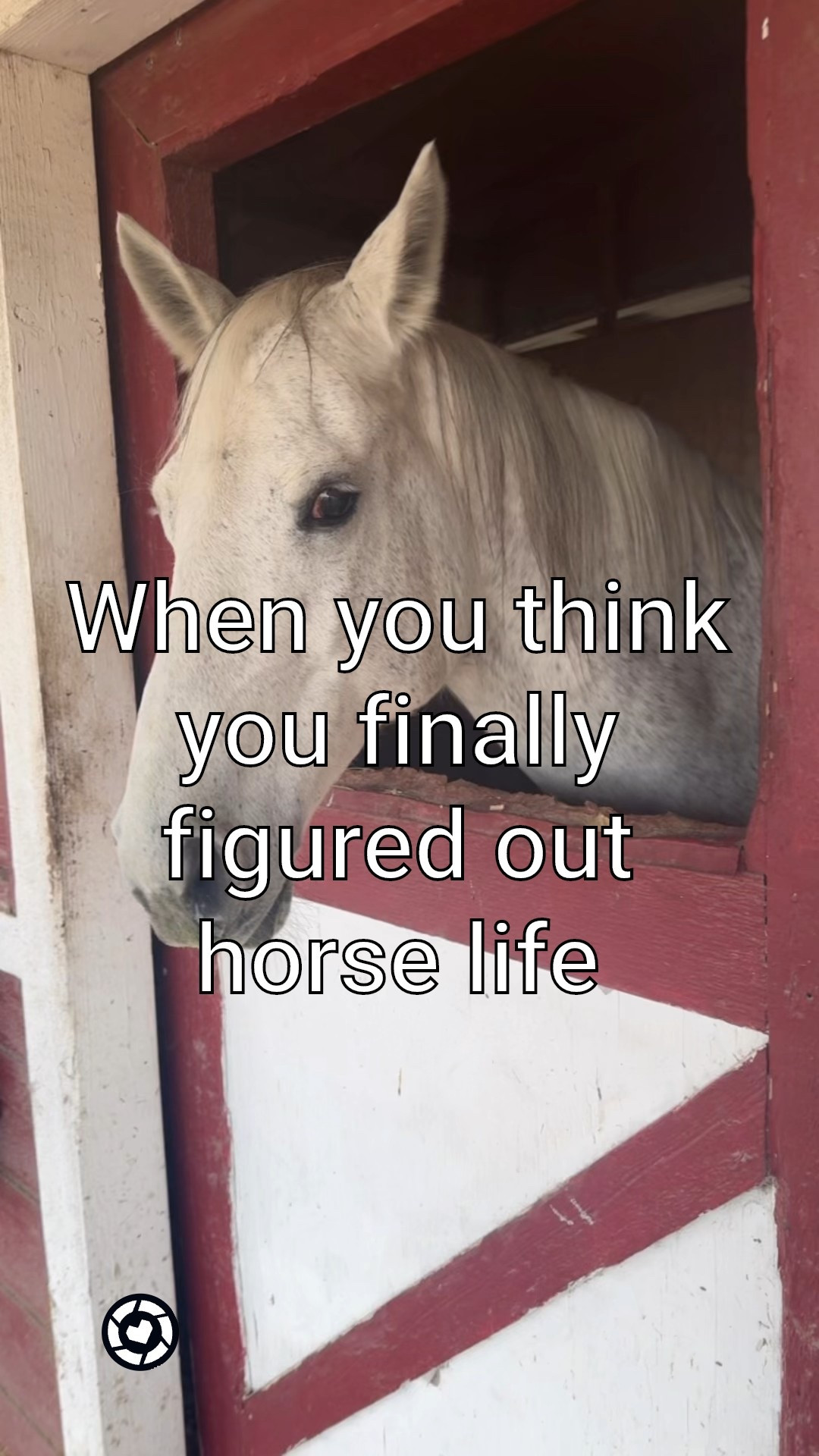 She just ran away from me…😬 Strong & stubborn- meet the Queen horse of the barn, Pink Boots.🩷🦄

#gonecountry #barnlife #countryliving #horses #western

#LTKWatchNow #LTKFamily #LTKPets