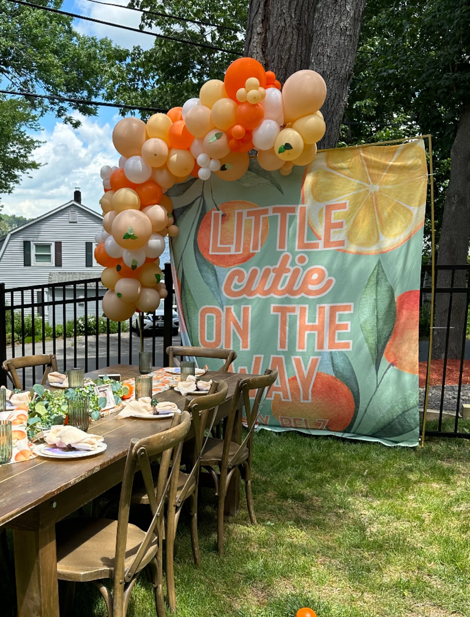 Little Cutie on the Way 🍊 Baby shower photo backdrop

#LTKParties #LTKFindsUnder50 #LTKBaby