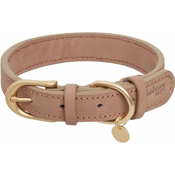 Blueberry Pet Soft & Comfy Genuine Leather Adjustable Dog Collar | Chewy.com