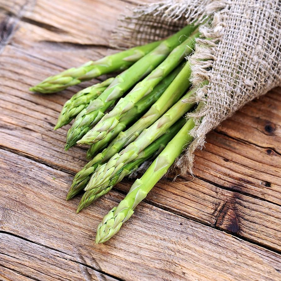 Green Asparagus Millennium | Tasty & Tender Green Vegetable Plants - 10 Asparagus Crowns for Plan... | Amazon (US)