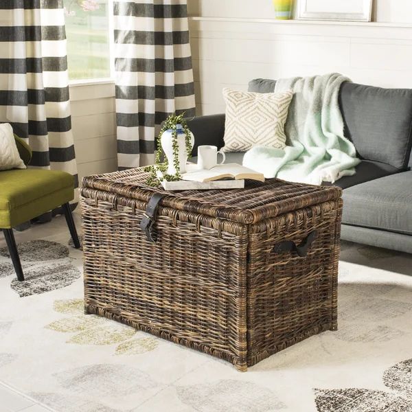 Ammann Wicker Trunk | Wayfair North America